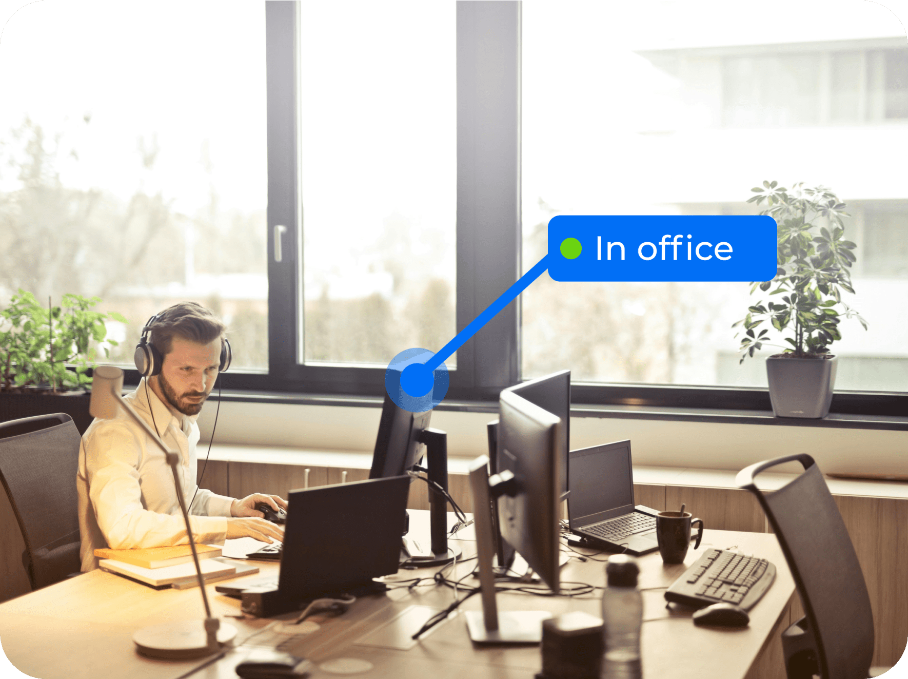 Easy insights into office attendance trends