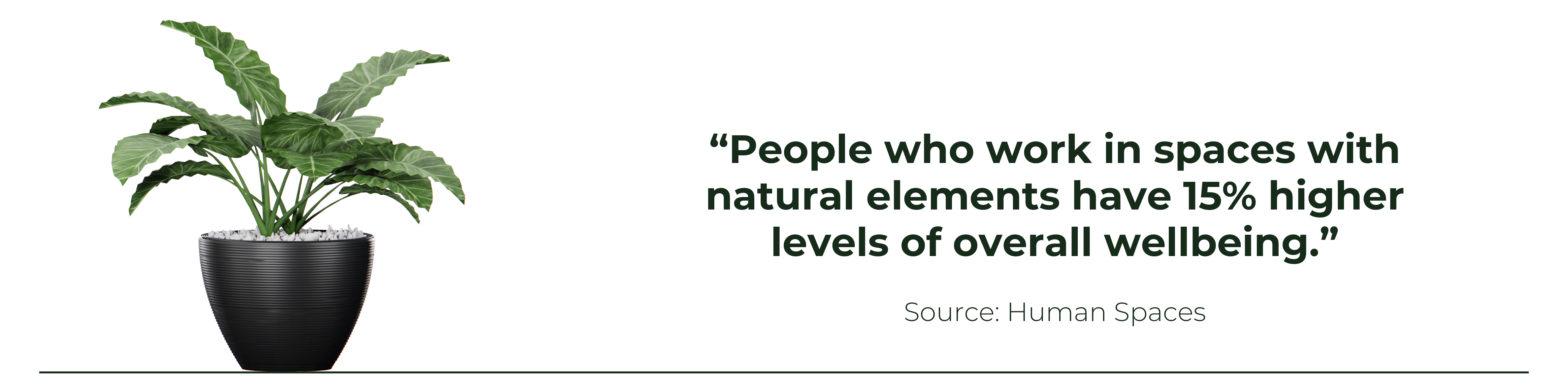 Designing Spaces for Wellbeing
